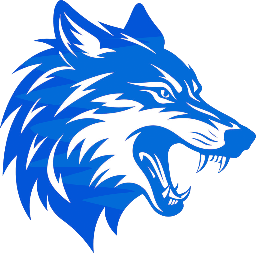 NAVELYA Logo